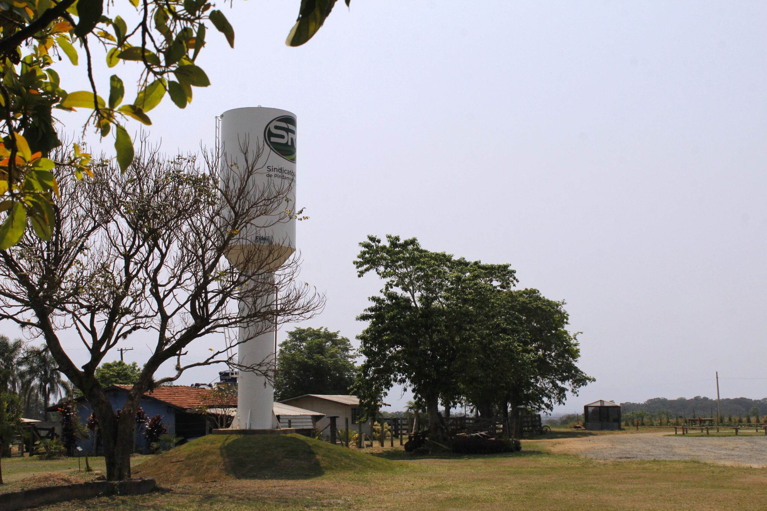 Sindicato Rural de Pindamonhangaba