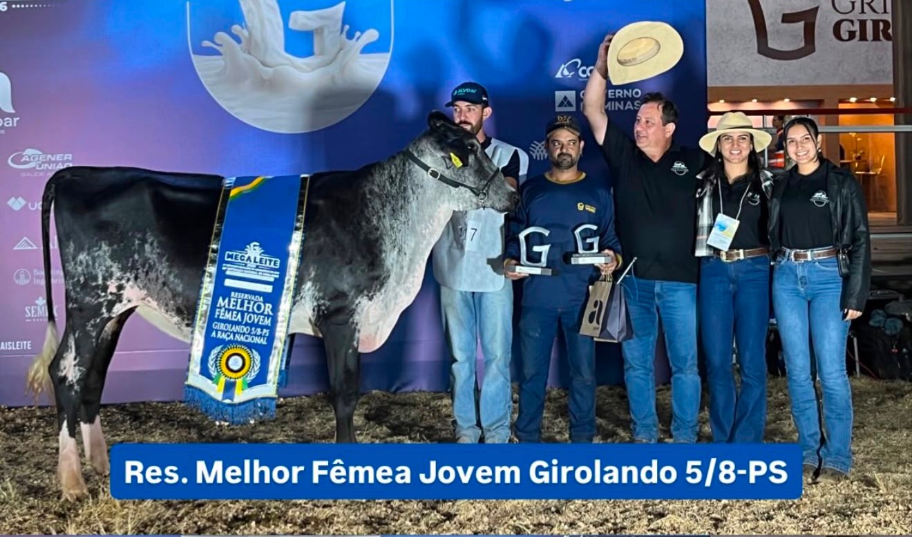 Criadores de Pindamonhangaba se destacam na Megaleite